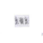 Script White Sugar Sachets 2.5g Ref A07507 Pack of 600