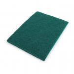 Bentley Abrasive Scourer W150xD225xH5mm Ref SPCSC0110 Pack of 10