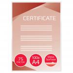GBC Laminating Pouches Premium Quality 150 Micron for A4 Ref 3740400 [Pack 100]