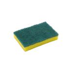 Washing Up Pad Scourer and Sponge Pack of 10