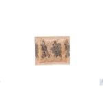 Script Demerara Brown Sugar Sachets Ref A07508 Pack of 600