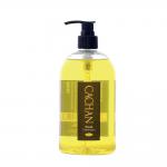 Cachan Fresh Handwash Lemon & Ginger Fragrance 500ml Ref 08260