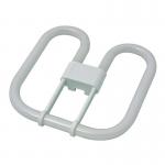 CED Lamp 2D Bulb 16-2 XL16/2P