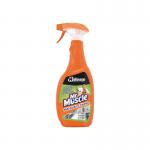 Mr Muscle Multi Surface Cleaner 750ml