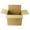Single Wall Carton 305x254x254mm P25
