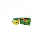 RY Nailsaver Scourer Twin Pack 1615 Pack of 6