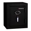 Sentry Office Fire/Water Res Black  EF3025E