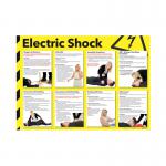 Health/Safety Poster ElectShock 420x590
