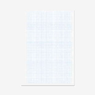RHINO A4 Graph Paper Unpunched 1000 Pages 500 Leaf 2:10:20 Graph Ruling VGP089-0-2