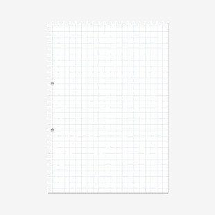 Rhino Stationery RHINO A4 Punched Exercise Paper 500 Leaf, S10 (Pack of 5) VLL060-10-0