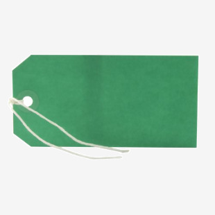 Strung Tag 120x60mm Green (1000 Pack) KF01624 KF01624