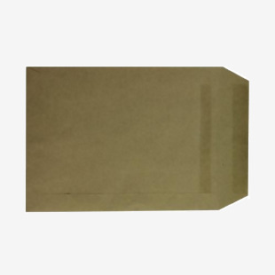 C5 Envelope 75gsm Self Seal Manilla (Pack of 500) WX3516 WX3516