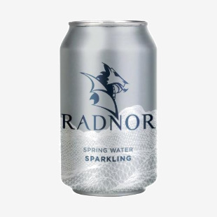 Radnor Hills Radnor Spring Water Sparkling 330ml Can (Pack of 24) 0201062 CPD00897