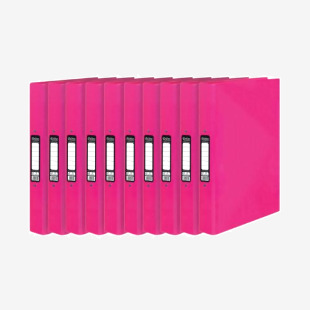Pukka Brights Ringbinder A4 Pink (10 Pack) BR-7772 PP37772