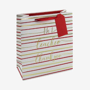 Eurowrap No1 Teacher Bag Medium Pack Of 6 27165-3C EU54192