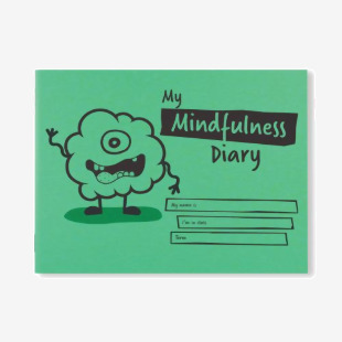 Silvine Primary Mindfulness Journal KS2 Class A5 Green (Pack of 30) EX233 SV44110