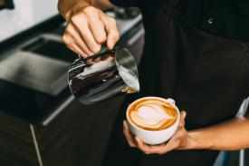 Our Barista Basics Guide: Your Easy Path from Grind to Perfect Milk