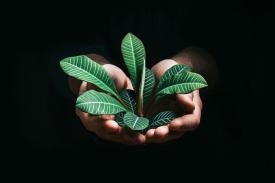 Next Level Notebooks: Why Rhodia Is the Smart, Sustainable Choice 