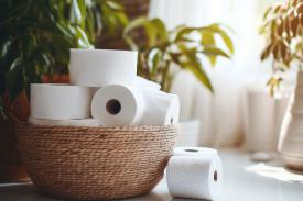 1-Ply, 2-Ply, or 3-Ply? Our Quick Guide to Picking Toilet Paper