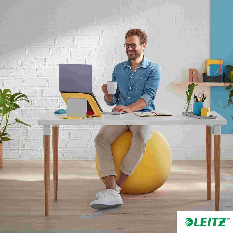 Man sat on Leitz Active Sitting Ball at Desk.