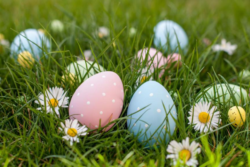 Easter picture on grass with colourful eggs. 