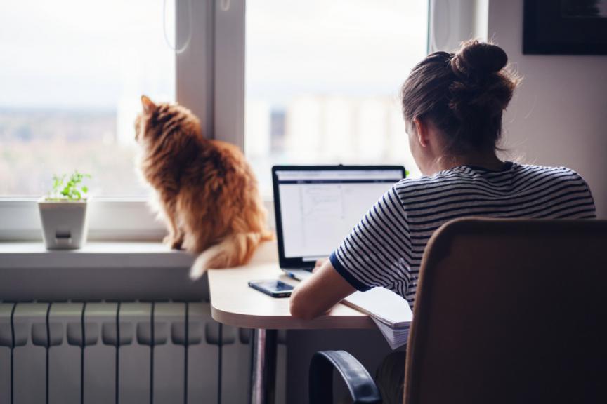 Tips for Global Working From Home Day 