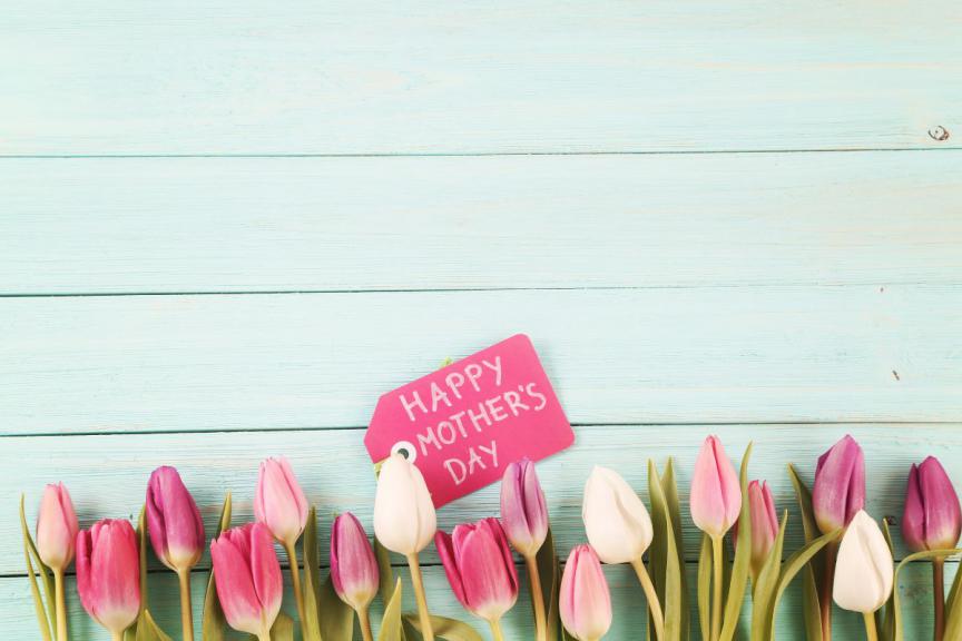 Row of tulips on white background with text happy mothers day.