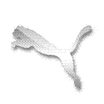 Puma Logo